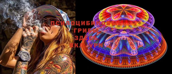 гидропоника Абаза