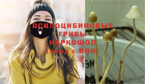 спайс Абдулино