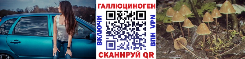 Псилоцибиновые грибы Magic Shrooms  купить закладку  Ялта 